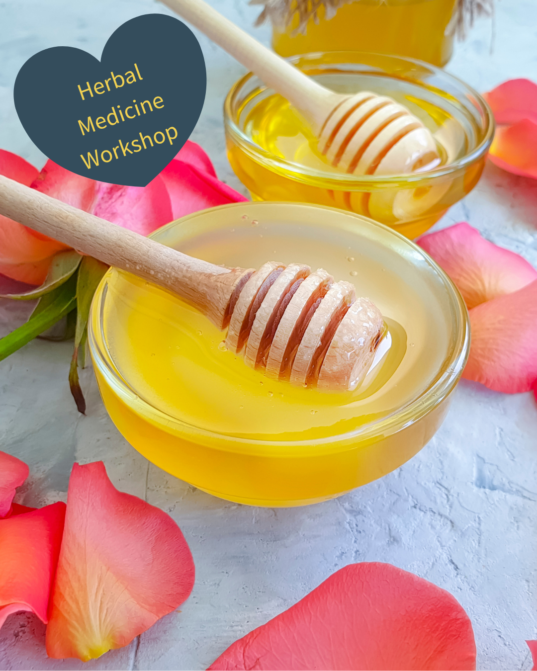 Herbal Medicine Workshop