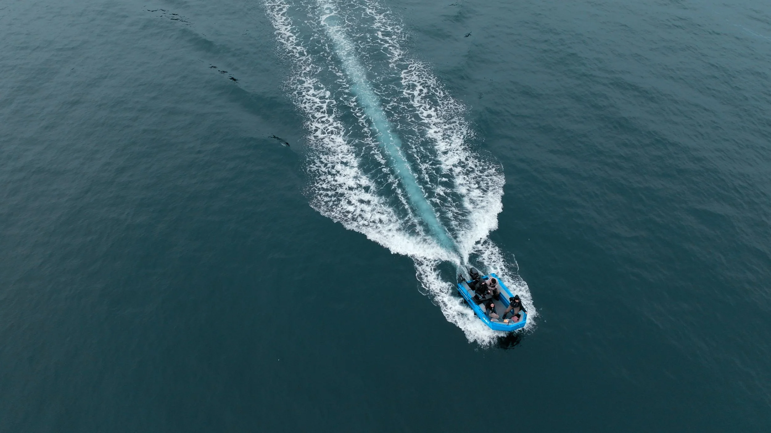 fw127 catamaran tender.jpg