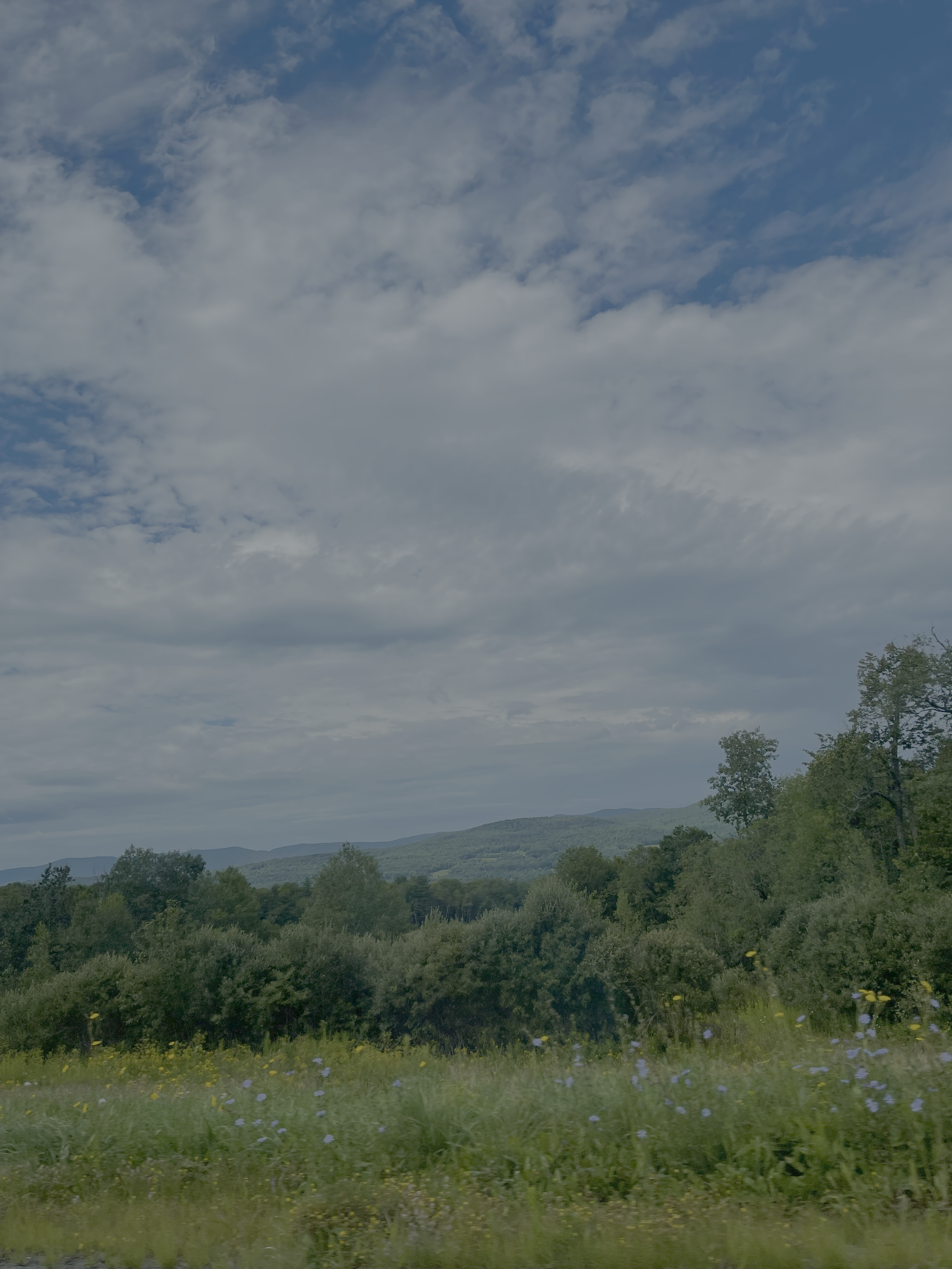 Vermont Cheesemaker's Festival