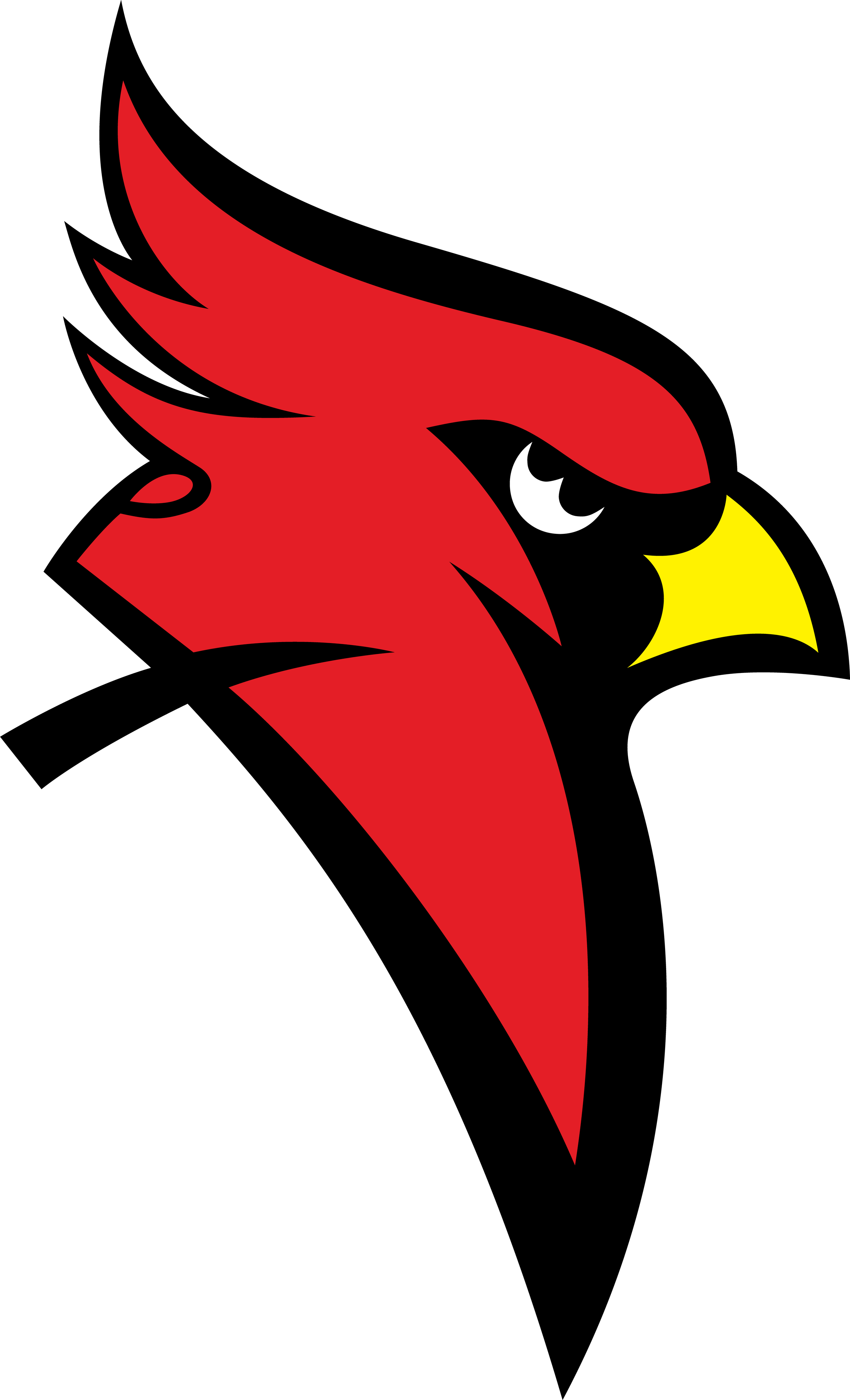 Prospect Form — Birmingham Cardinals