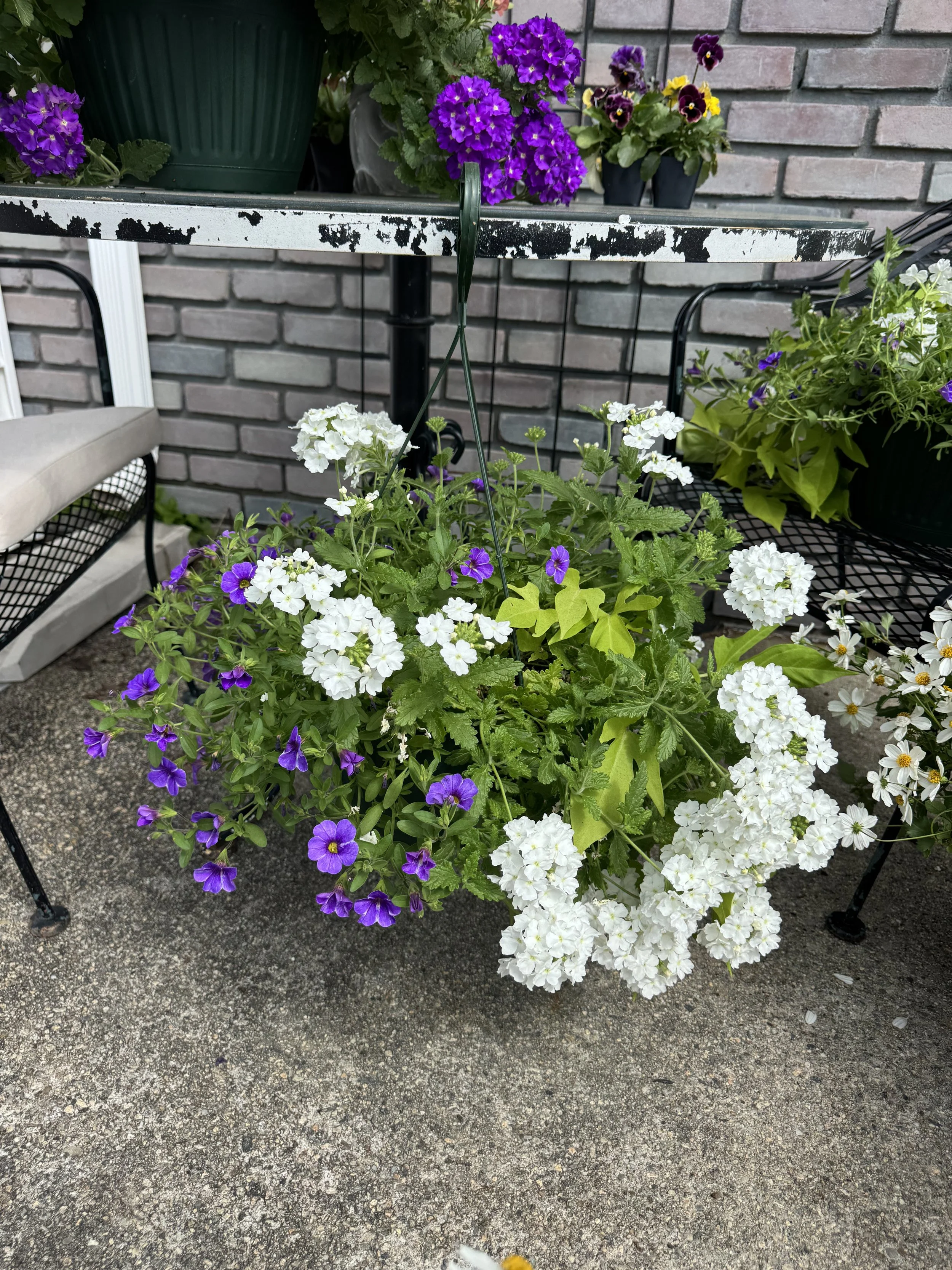 IMG_0484.jpeg