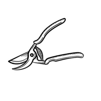 A pair of pruning shears with curved blades and handles.
