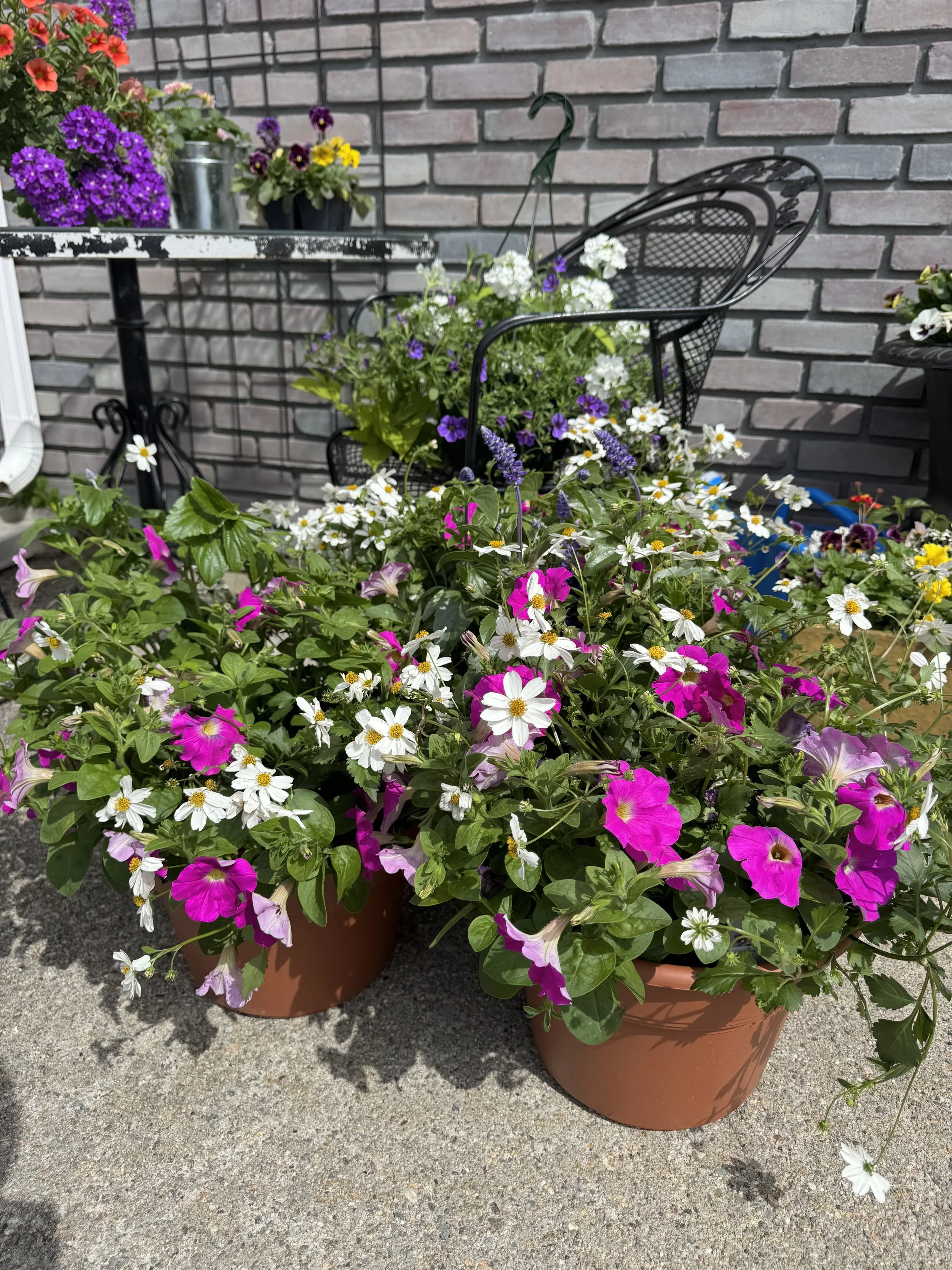 IMG_0482.jpeg