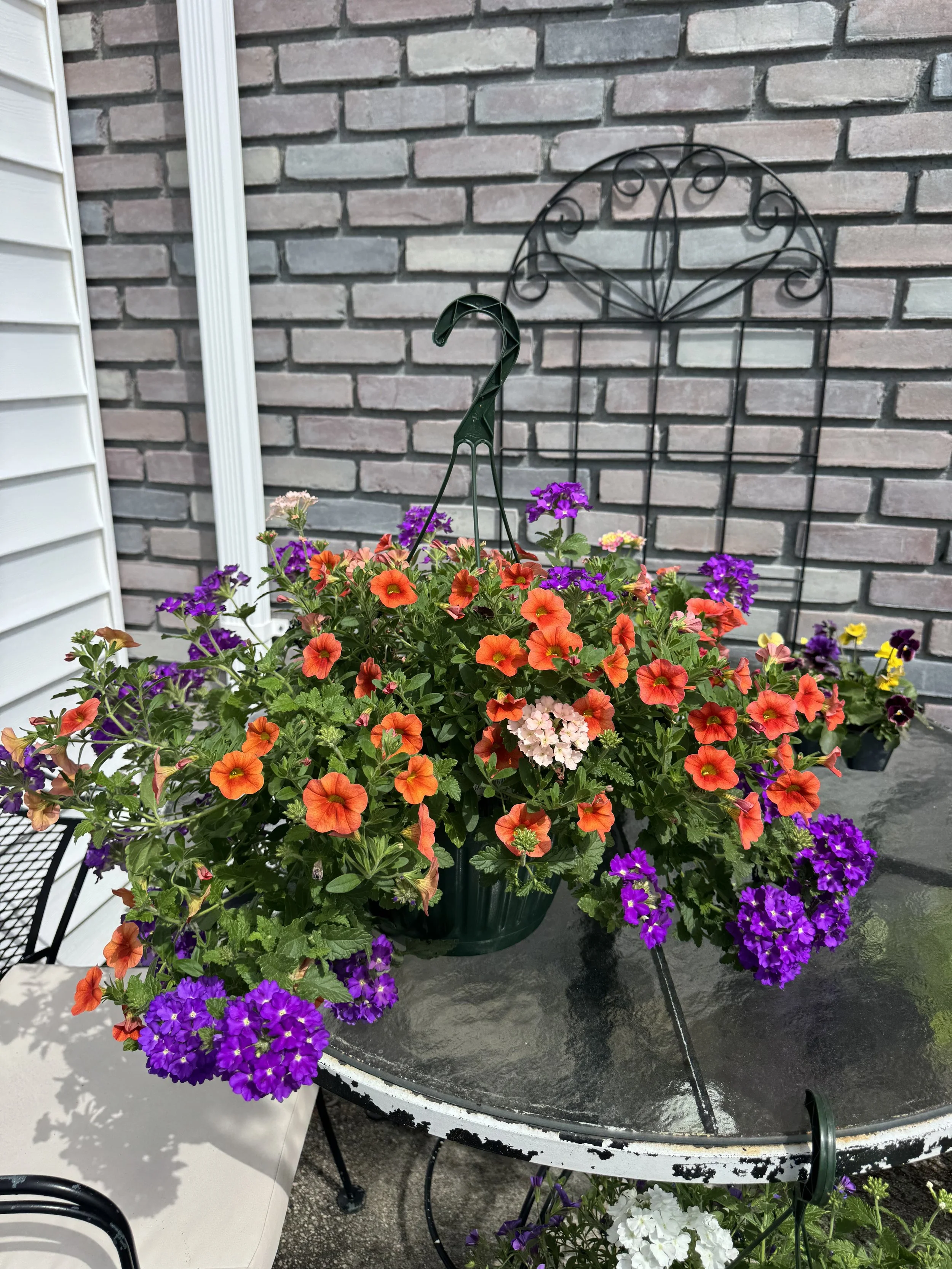 IMG_0483.jpeg
