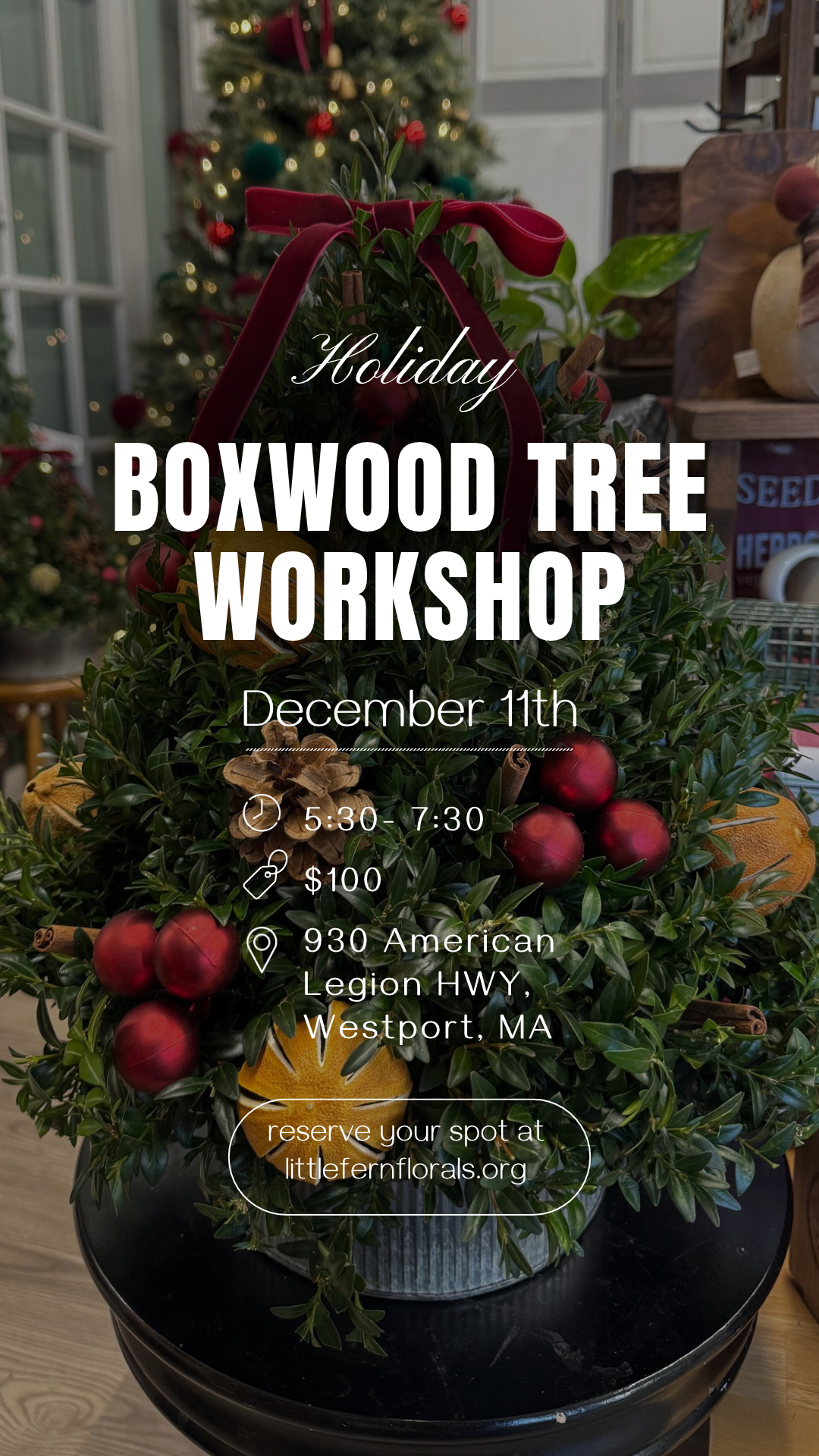 Boxwood tree Workshop.png