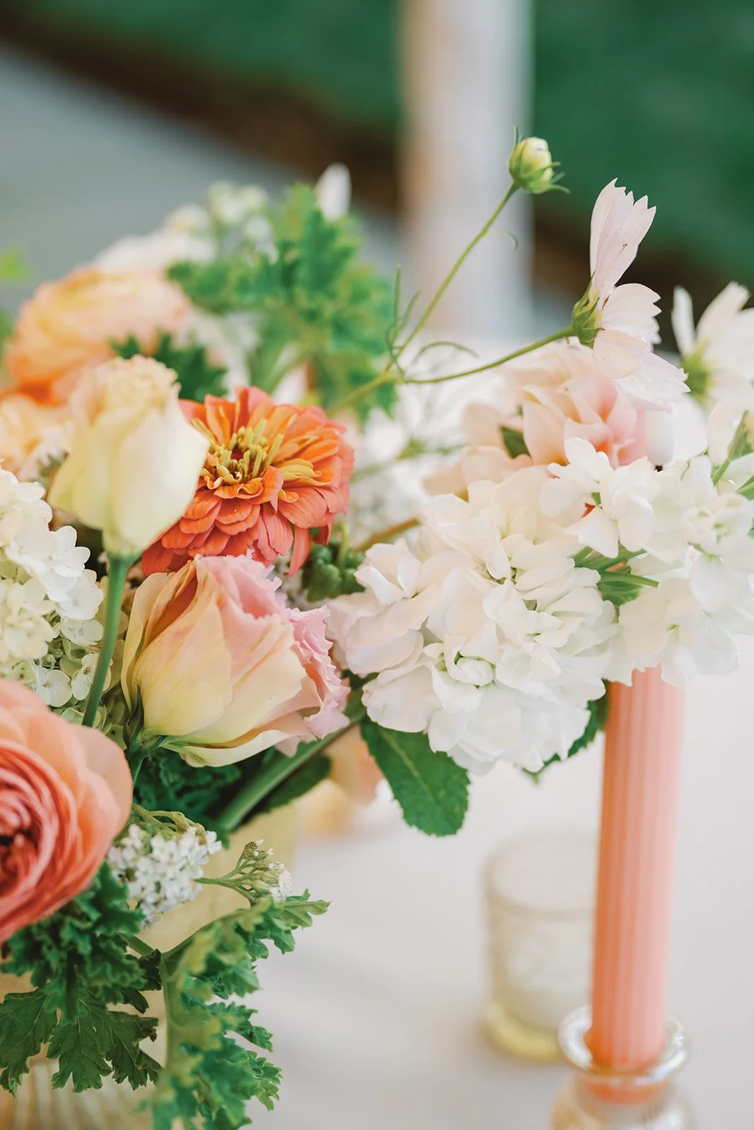 Photographed by Maggie By The Millimeter 