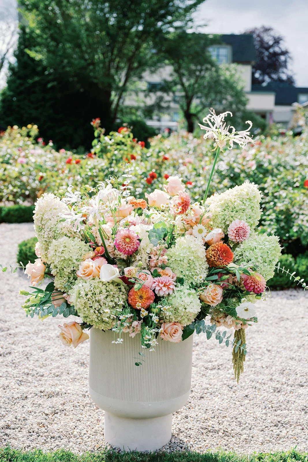 Photographed by Maggie By The Millimeter