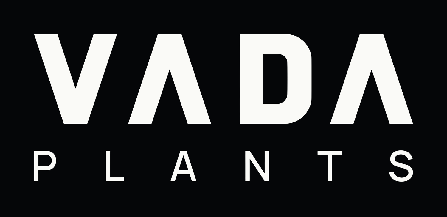 VADA Plants