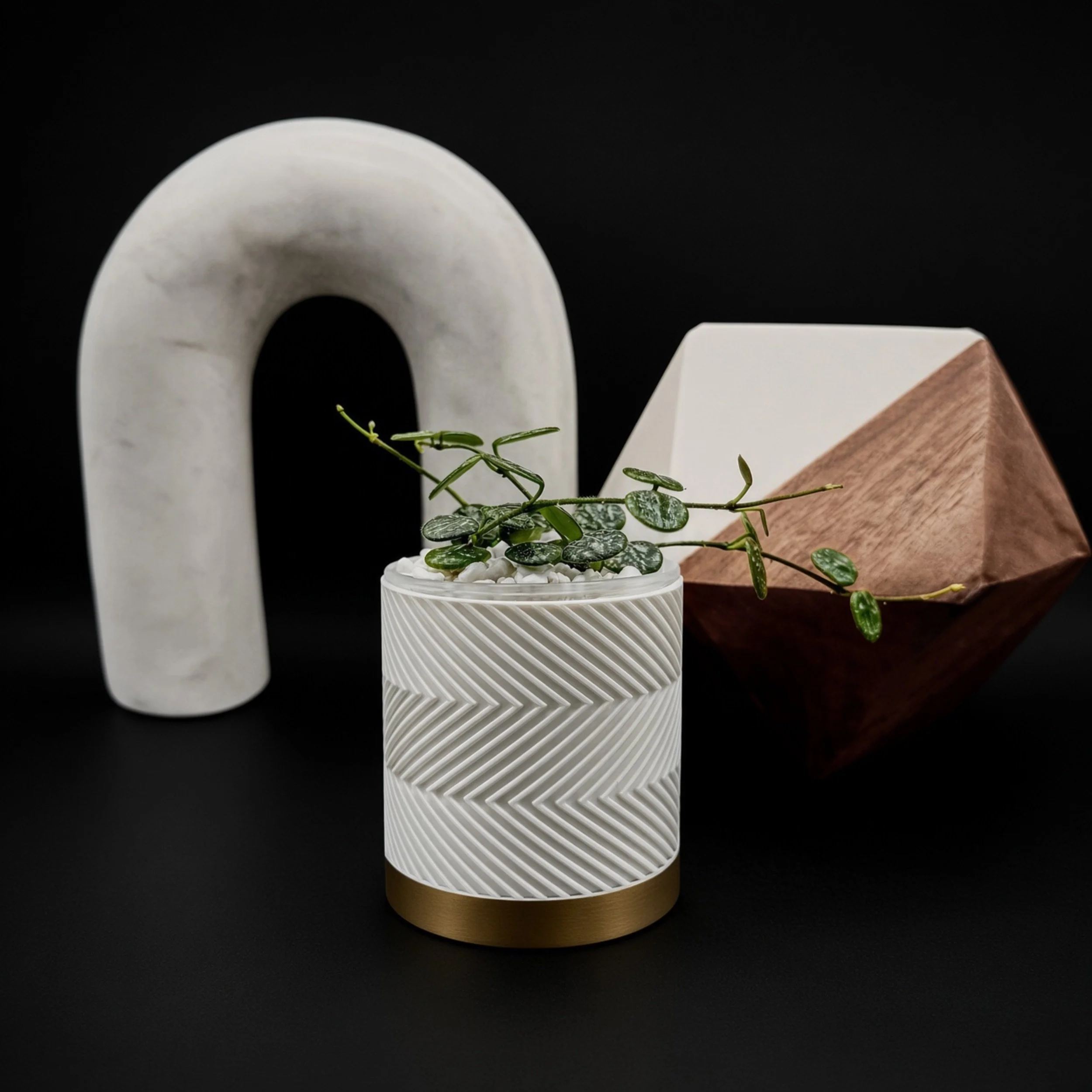 Hoya plant planter