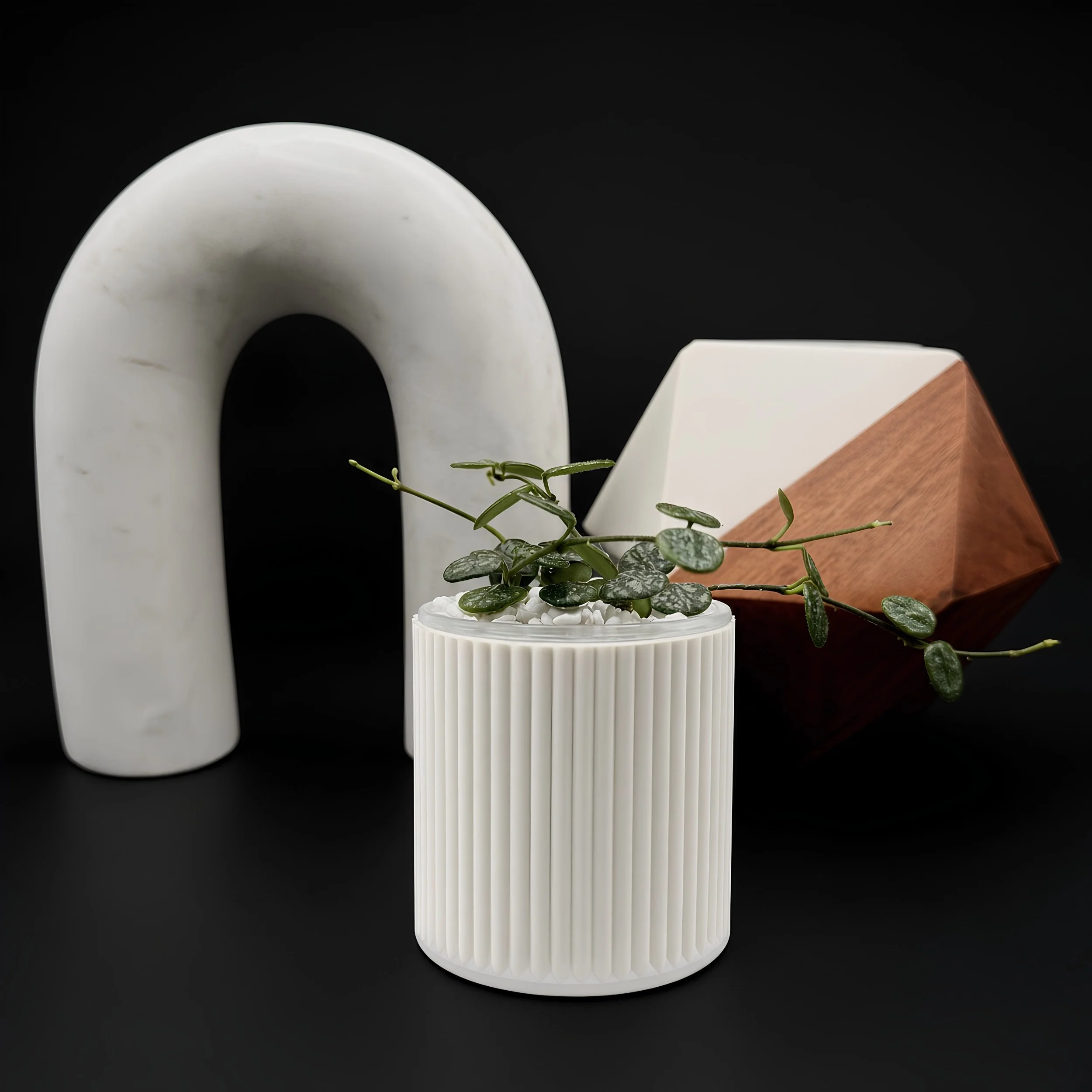 Anthurium plant planter