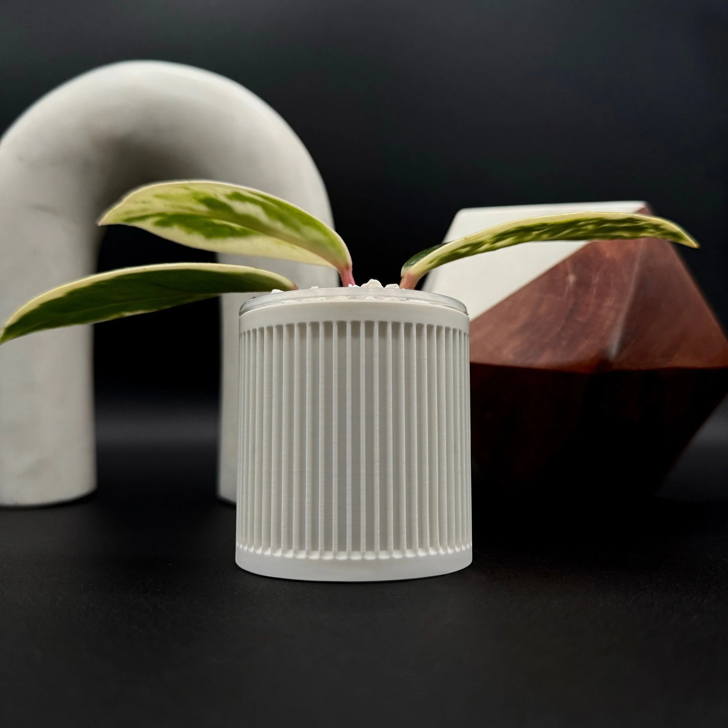 Hoya plant custom planter