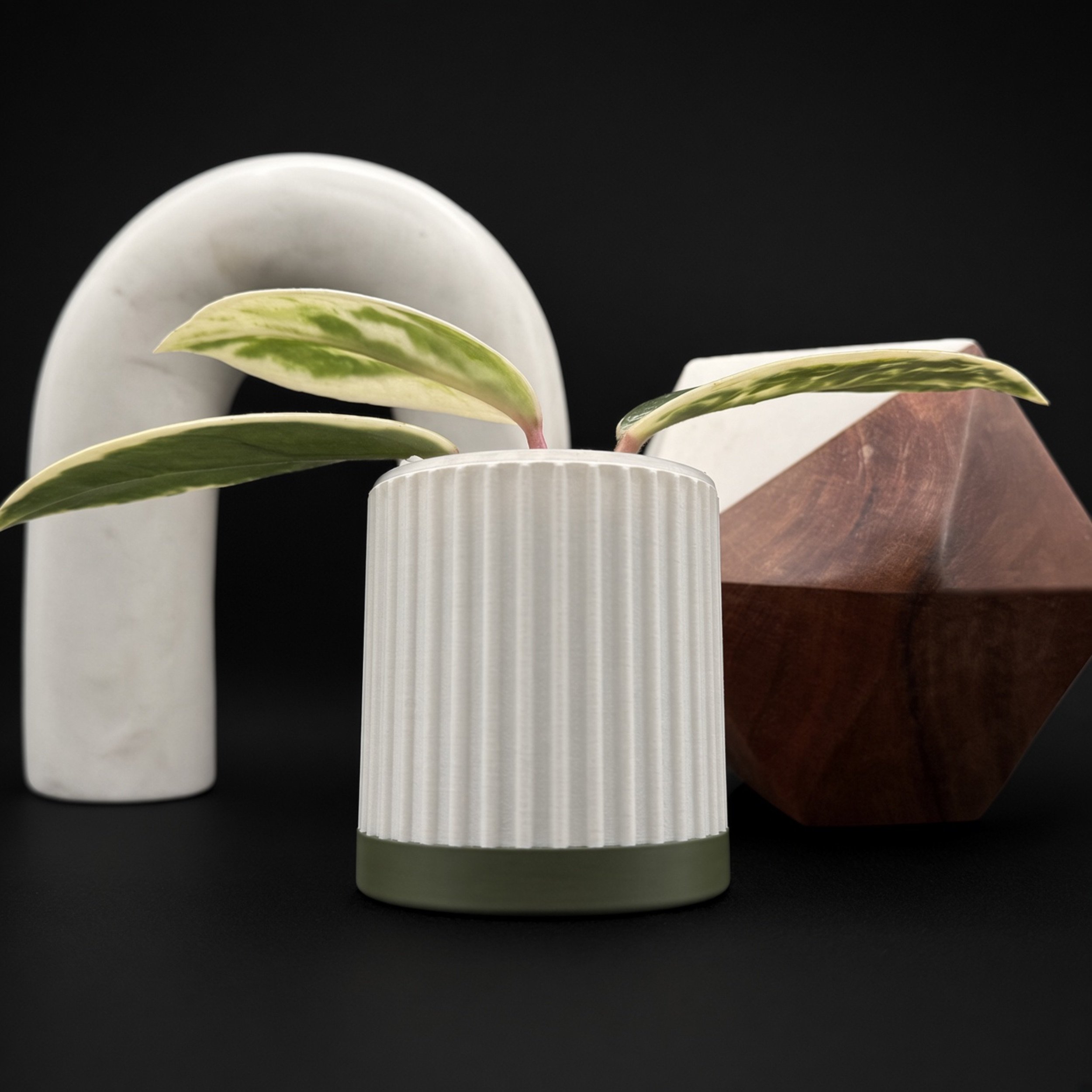 Anthurium pot