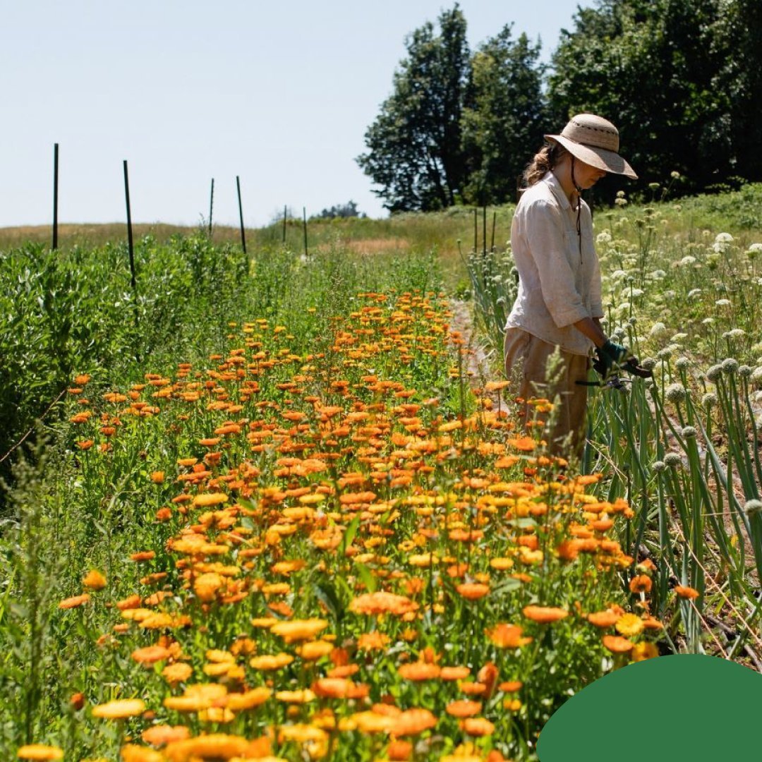 Every sip is a step towards sustainable food systems! 🍻⁠
⁠
⁠
It&rsquo;s a win-win this month - You save $2 at @BCLiquorstores this month on your Outpost Mix Pack.  And, with specially marked packs, your $2 goes directly towards nurturing our local f