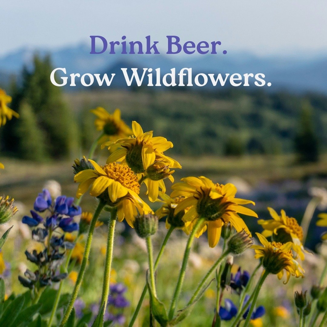 Bring more buzz to your backyard beers! 🐝⁠
⁠
 Our wildflower seed coasters, tucked into specially marked Outpost Mix Packs, aren&rsquo;t just a place to rest your brew between sips - they&rsquo;re a springtime feast for local pollinators! 🦋⁠
⁠
Swip