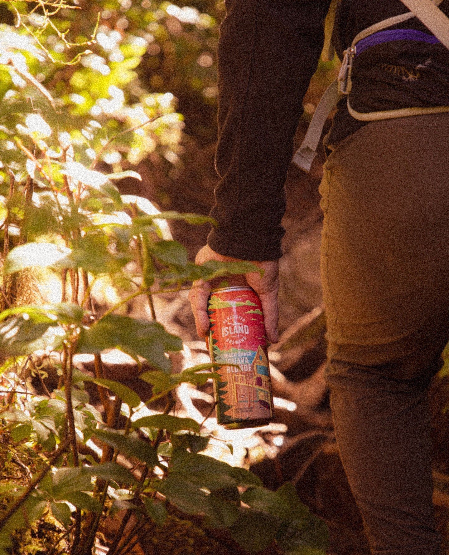 Whether you're hiking to summit a new peak, or just to get down to the beach, Beach Shack Guava Blonde has you covered 🍻⁠
⁠
Available in 473mL cans in our taproom and your local liquor store now!