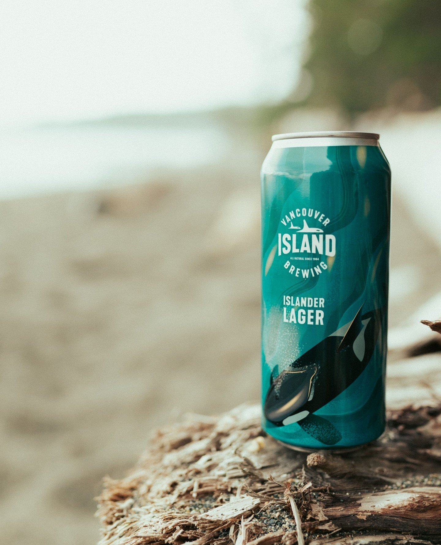 Nothing says island escape like our Islander Lager. Pick one up, crack it open, and let the island spirit take over 🌲🍺