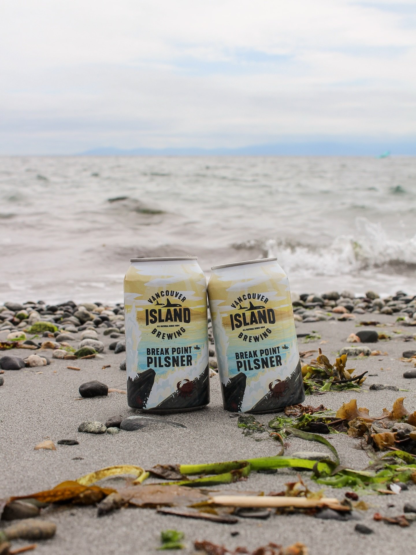 Pairs well with salty air and the sound of waves 🌊

#VancouverIslandBrewing #VIBrewing #VancouverIsland #IslandLife #DrinkLocalBC #SupportLocalBC #CraftBeer