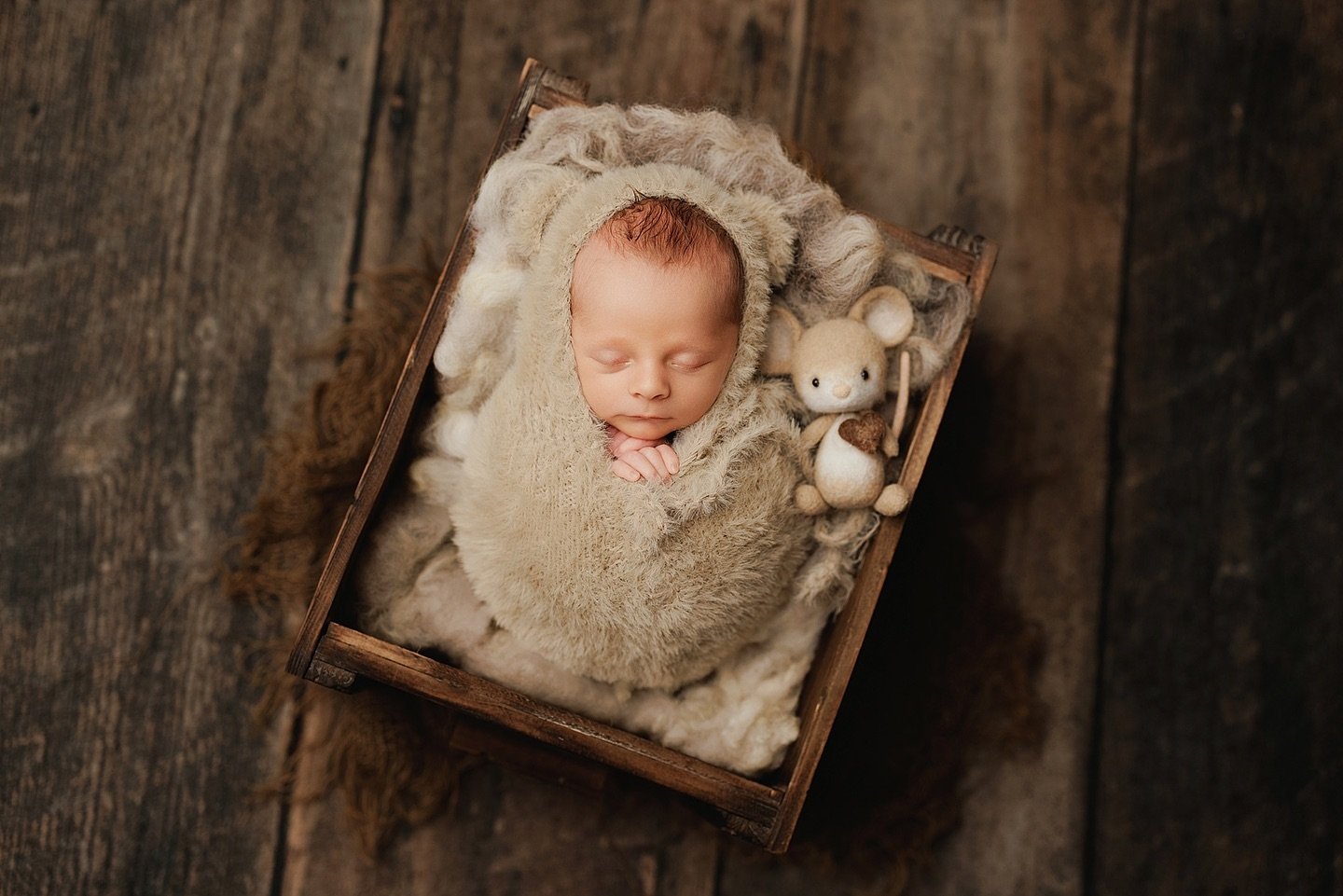 little bear and his friend

#frisconewbornphotographer
#planonewbornphotographer
#dallasnewbornphotographer #mckinneyphotographer
#lewisvillenewbornphotographer #newbornphotography
#newbornposing
#fortworthnewbornphotographer #babyphotography
#newbor