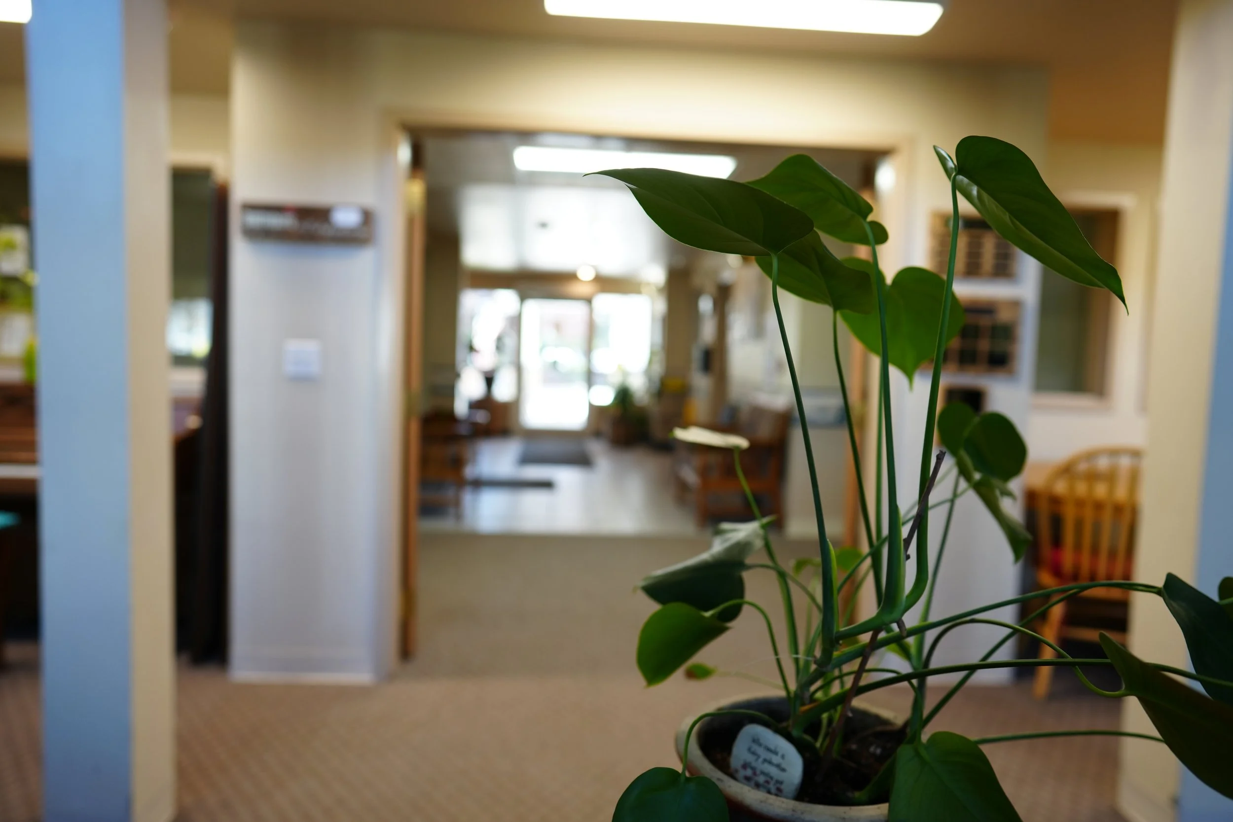 Willow Court (25).JPG