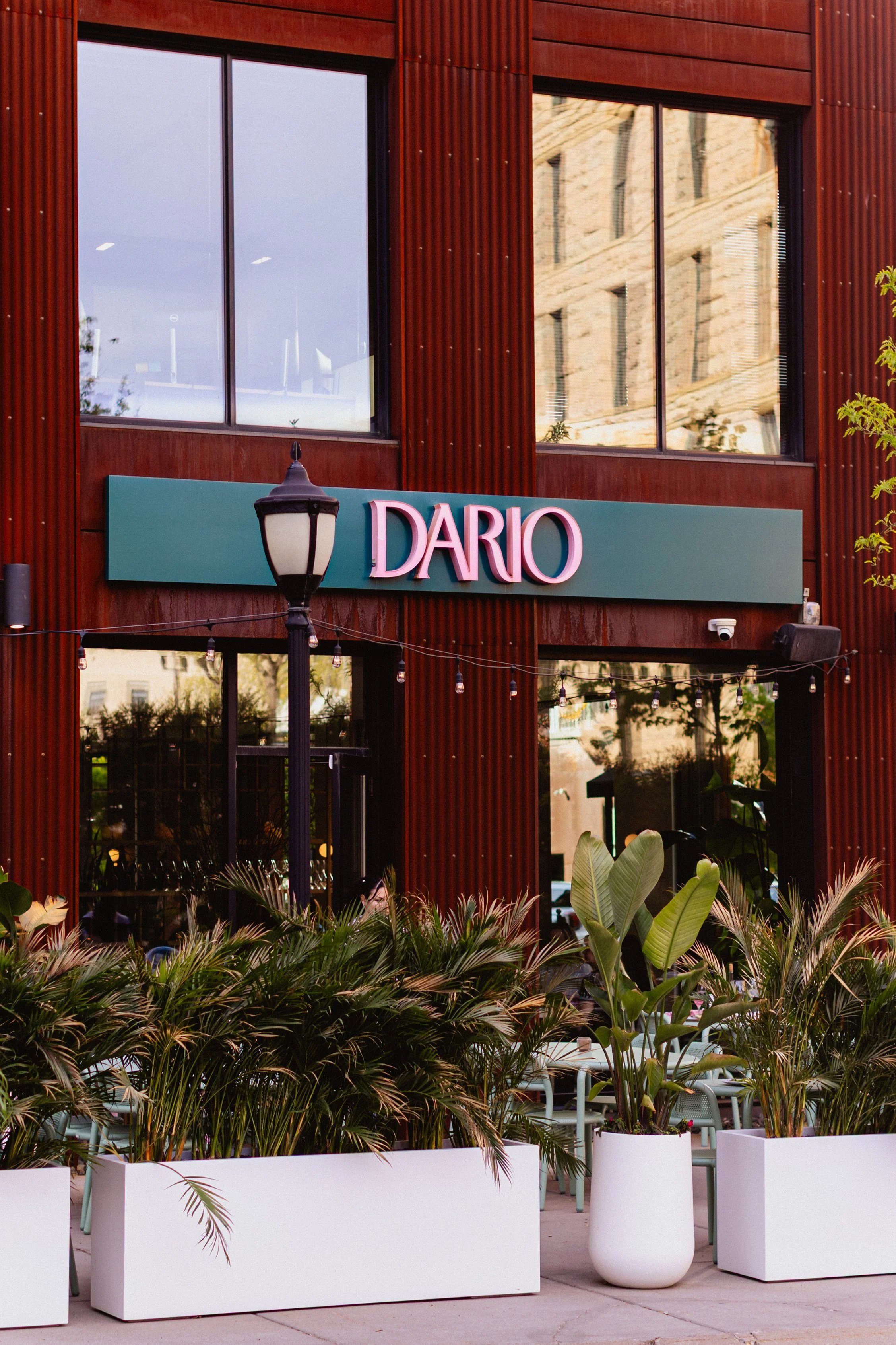 Exterior of a building with large windows, a sign reading 'DARIO', and potted plants with green foliage in white planters in the foreground.
