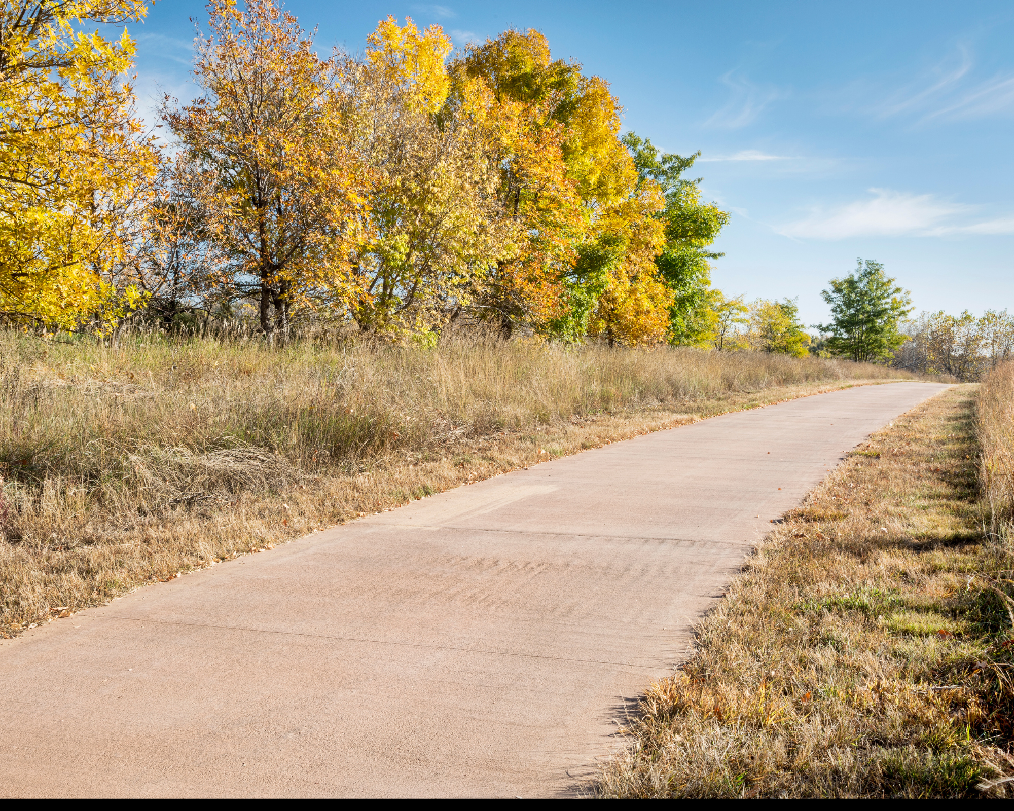 Silicon Valley Living