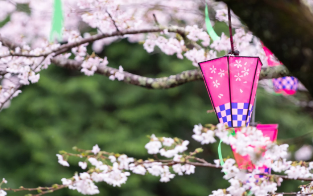 Silicon Valley Living 