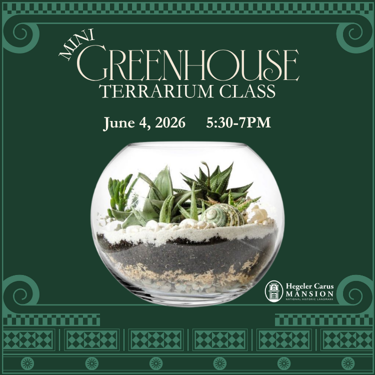 Mini Greenhouse Terrarium Class