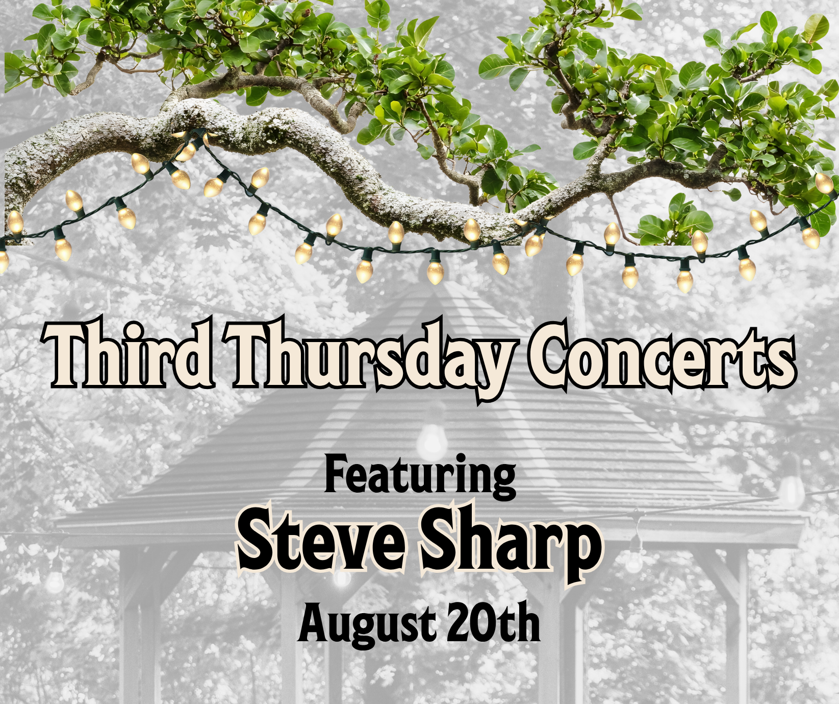Third Thursday Concert: Steve Sharp