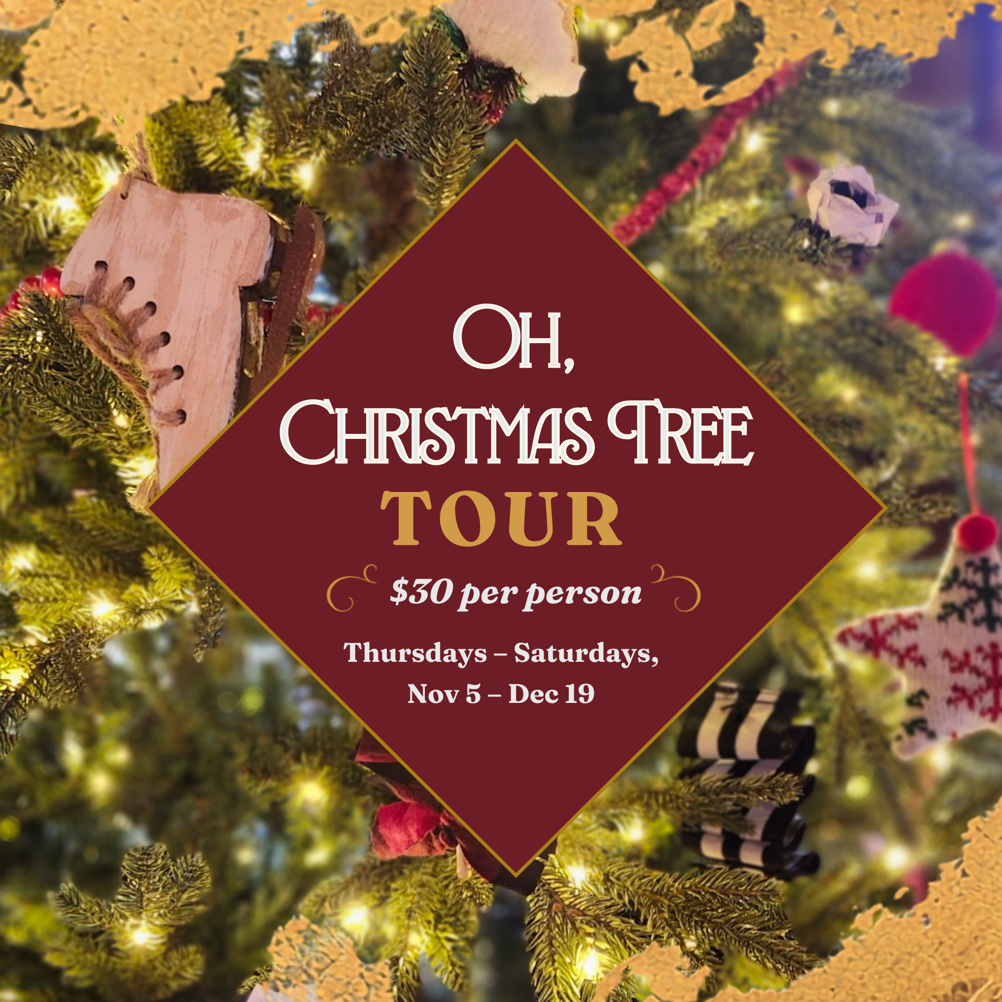 Oh, Christmas Tree Tour