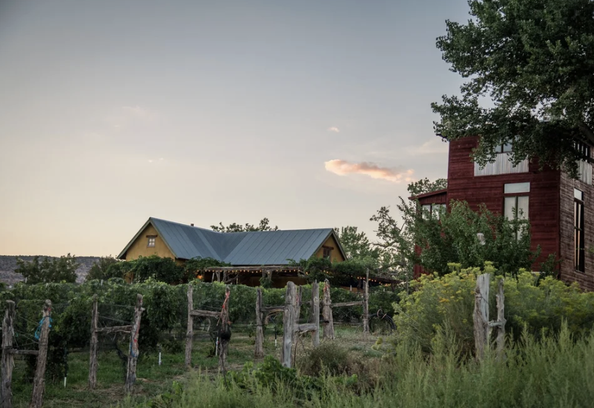 Farm to Table Fundraiser with Renew Inc