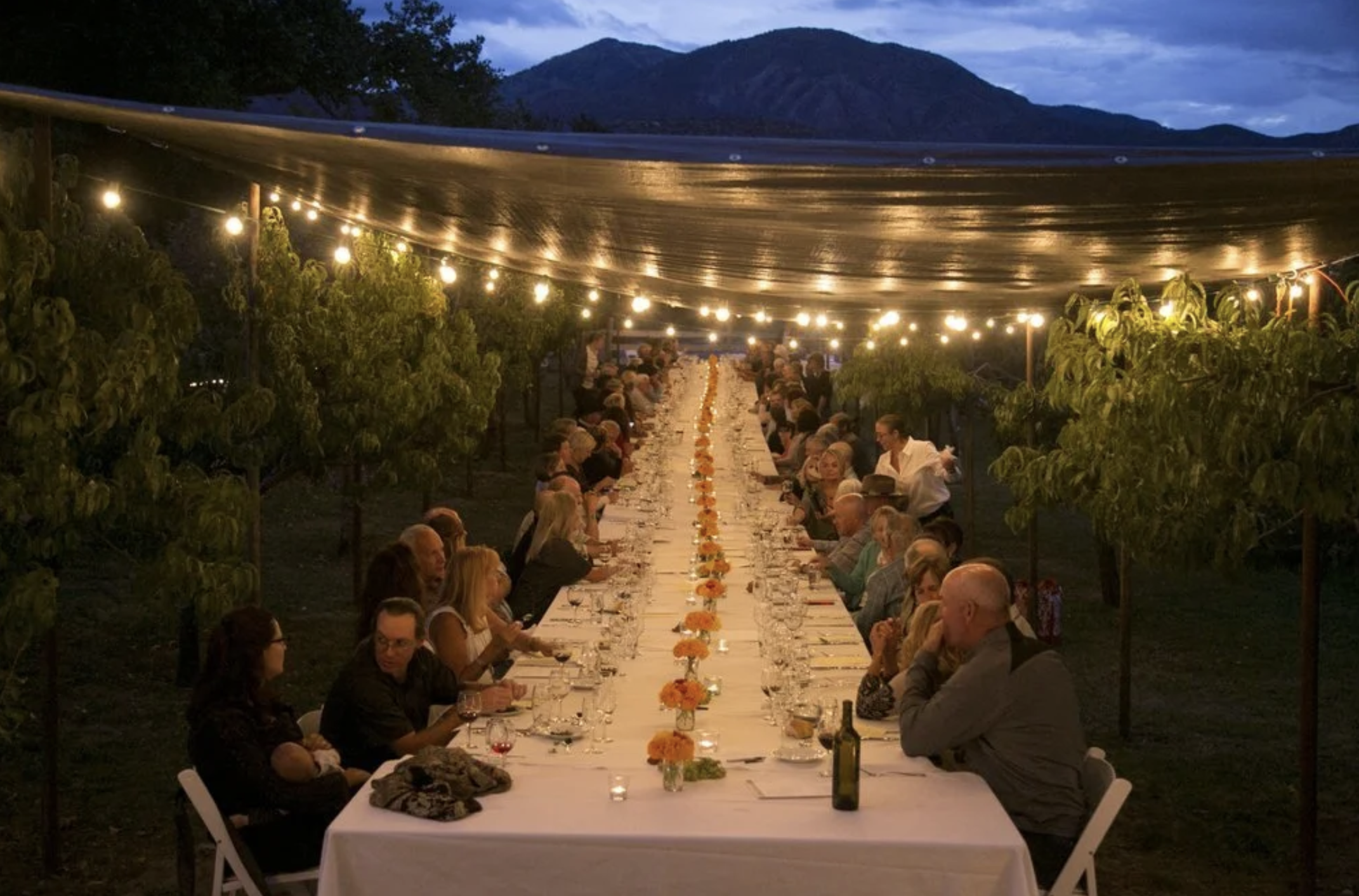 Windsor Dinner in Del Norte