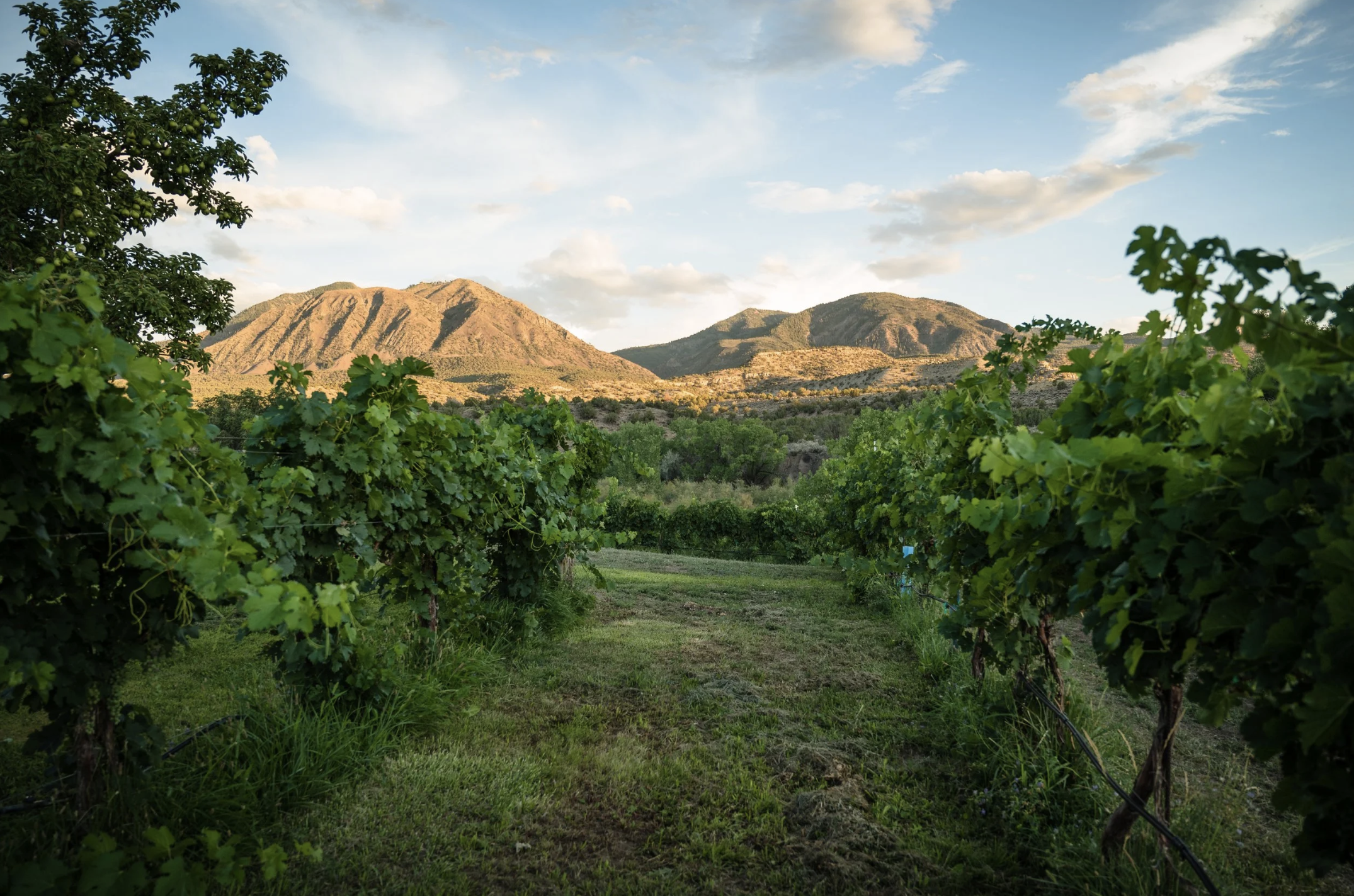 Pre-booking 2026 Harvest Dinner