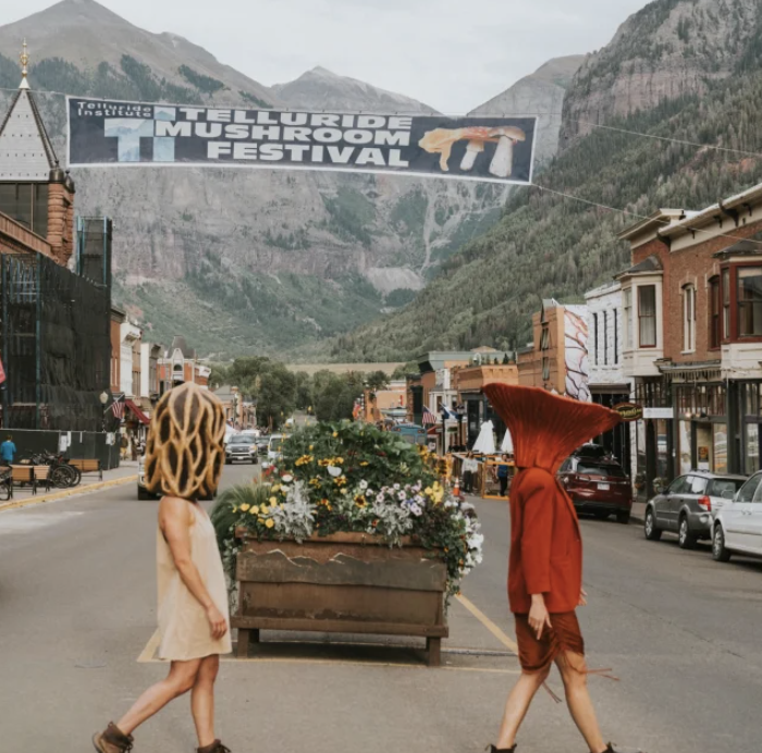 Telluride Mushroom Festival 26'