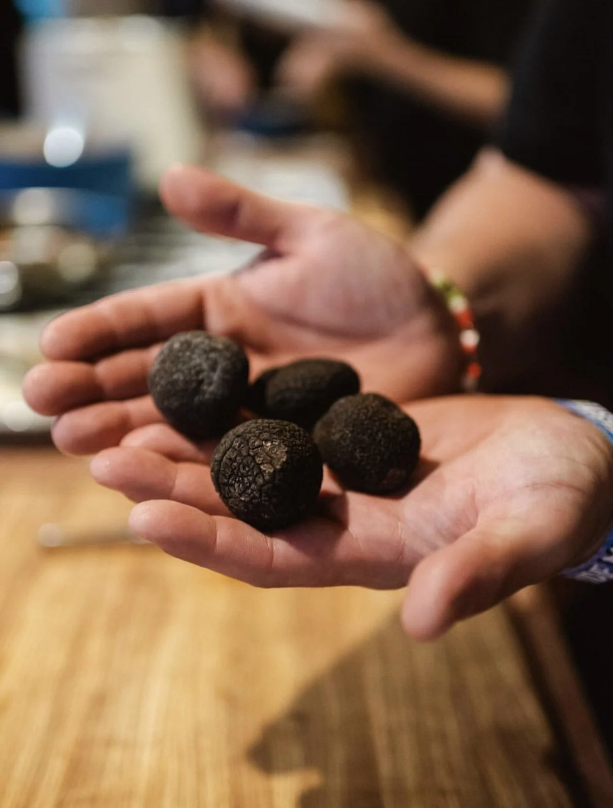A person holding five black truffles in their hand, with a blurred background.