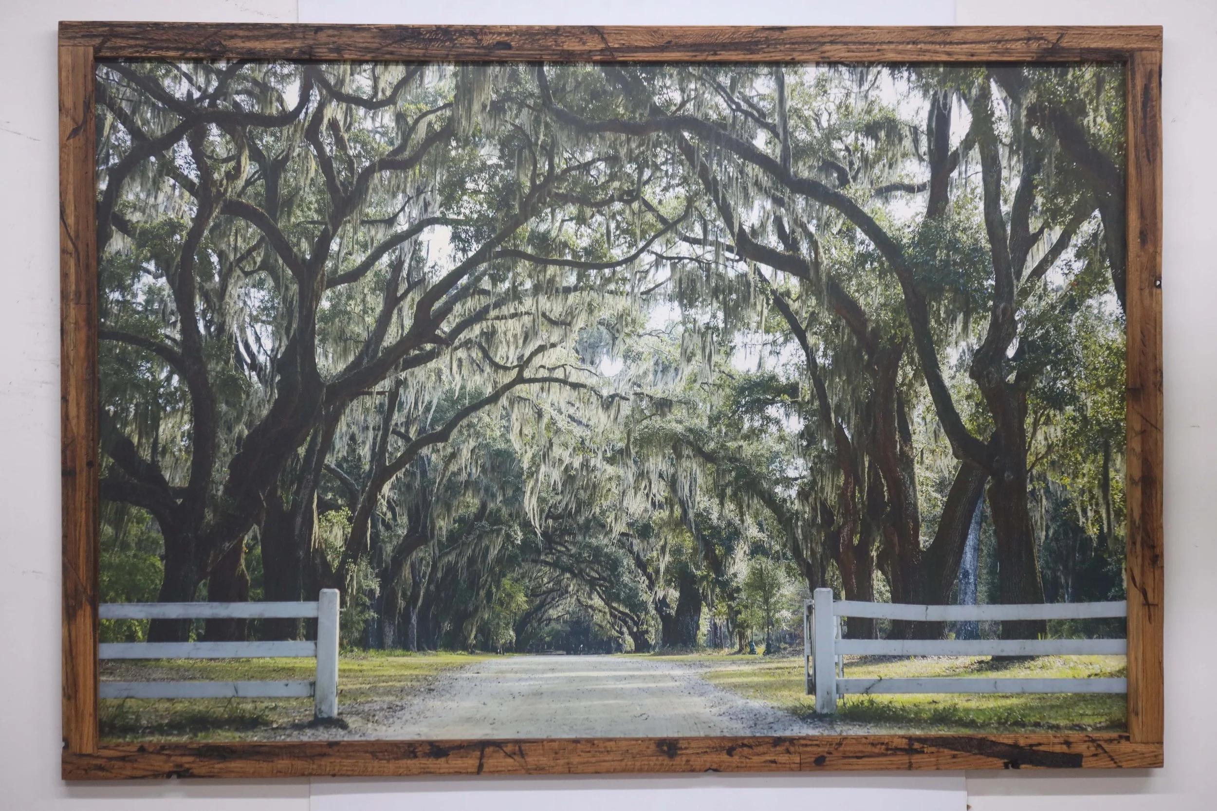 Wormsloe Plantation Drive Savannah GA 40x60