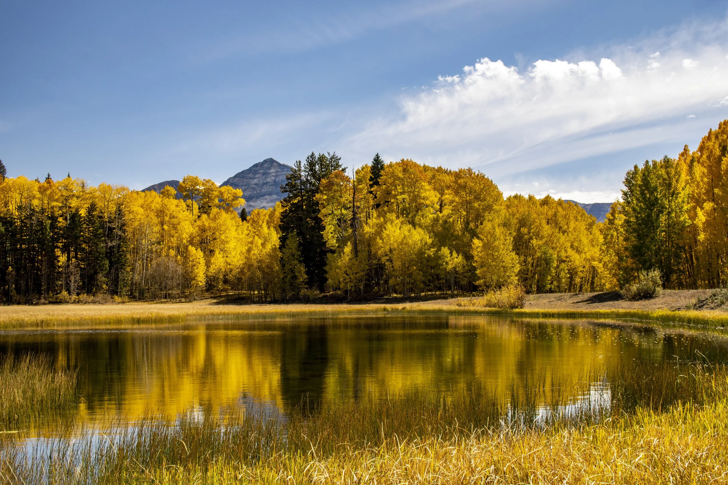 Mountain pond.jpg