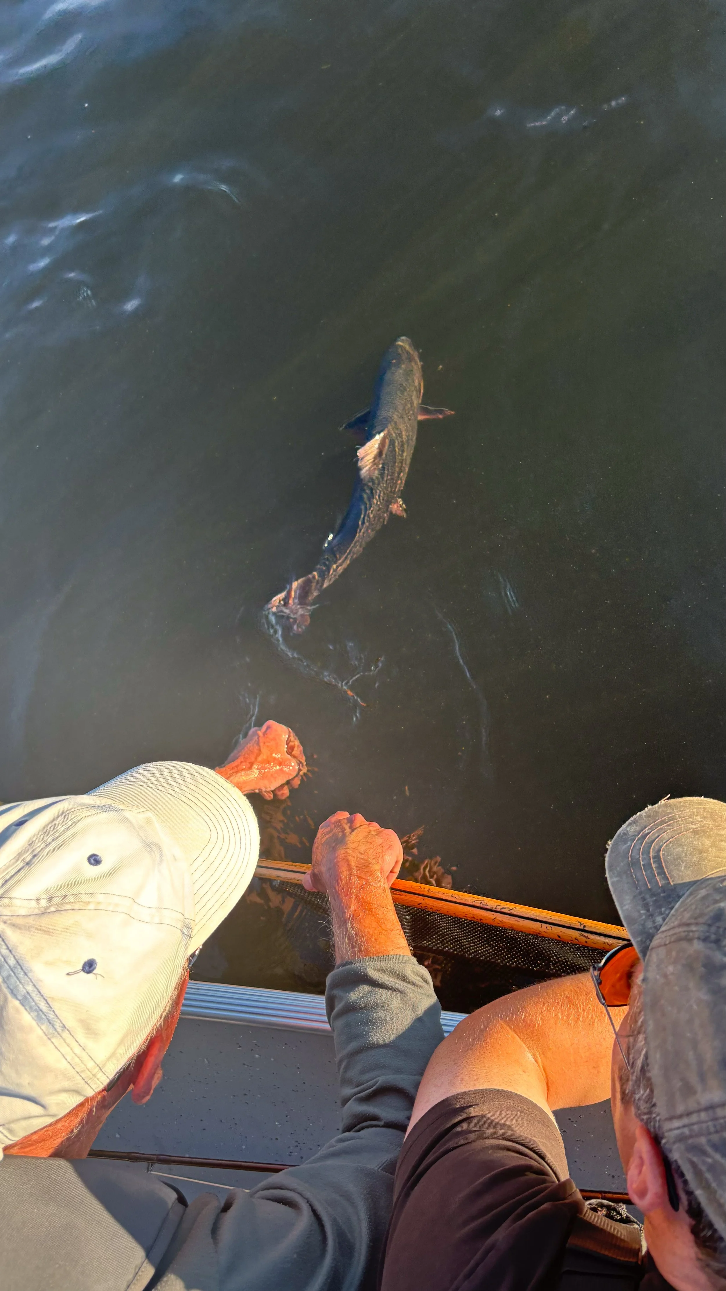 Releasing a big fish with the guide