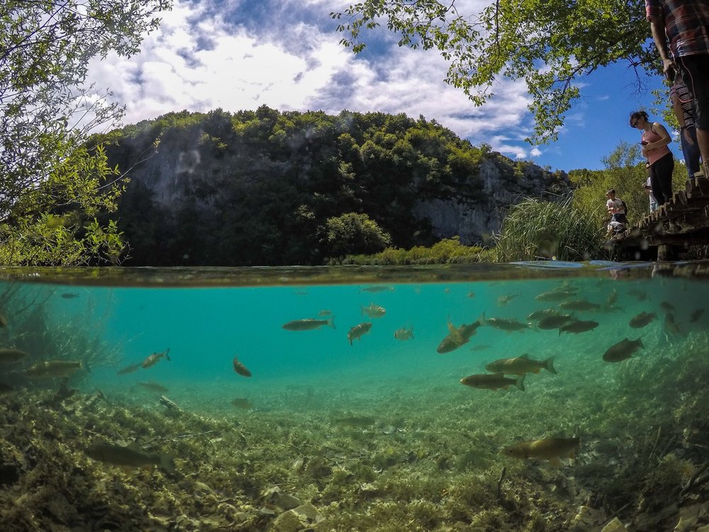 Plitvice National Park over under shot