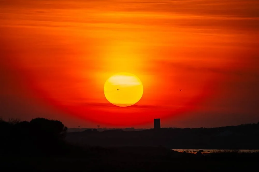 Sunset behind Roscam Round Tower. Swipe to set the sun behind the 10th century round tower on the shores of Galway bay. I picked out this alignment a few weeks back when we first had the good weather using @photopills. Not planned but the birds headi