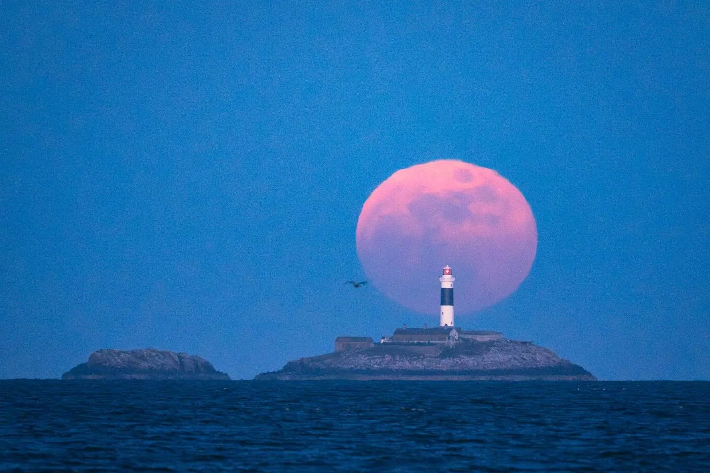 Last weeks full moon rise on the east coast. A stunning full moon, always a pleasure to capture in cloudy Ireland. There was a bit of haze around so it started off fairly faint and I had to make a run for it and align it again. Not sure whether to us