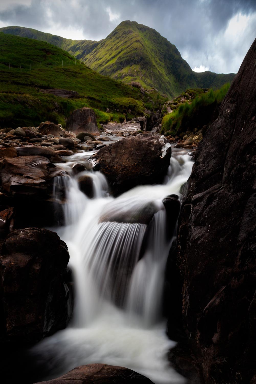 DSC_9220-Edit.jpg