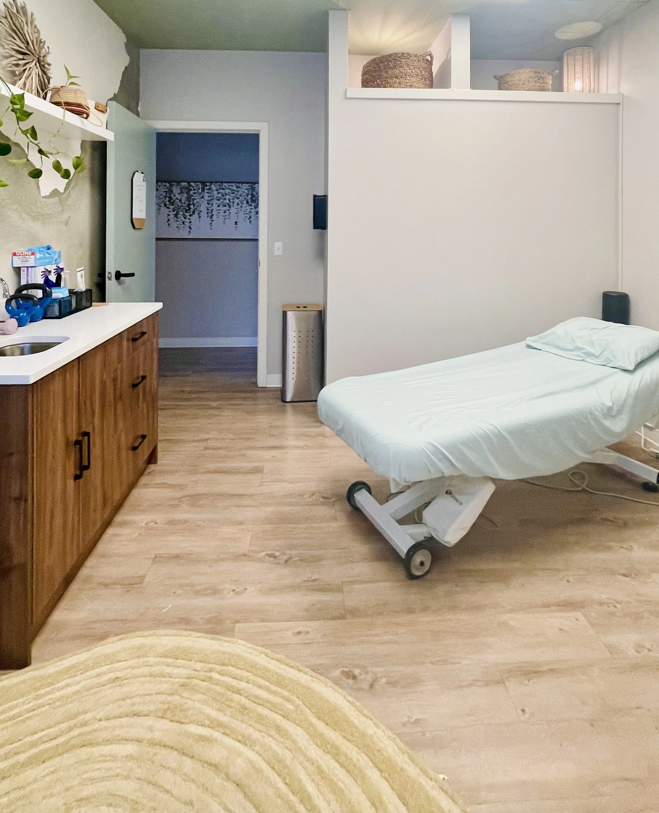 Spacious pelvic Floor PT treatment room with soft sheets, soft lighting, plants, anatomy art. This space is welcoming for sensitive topics like incontinence, prolapse, pelvic pain, visceral mobilization, and trauma-sensitive manual therapy care.