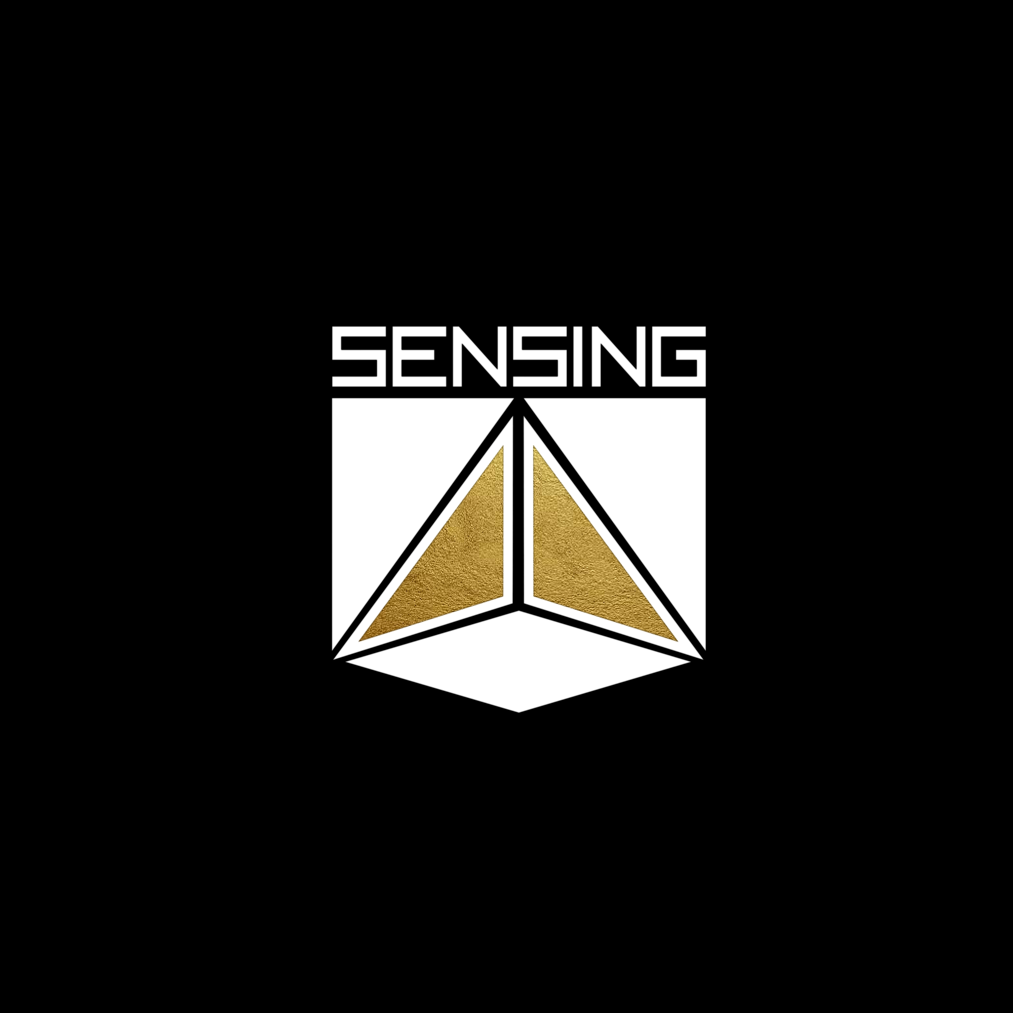 IMG_0602.png