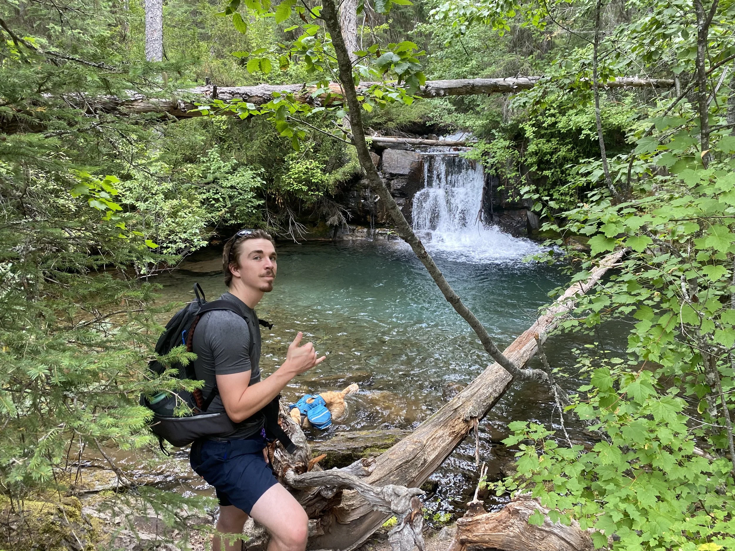 Guided Hikes Near Glacier National Park: Explore Nature's Majesty