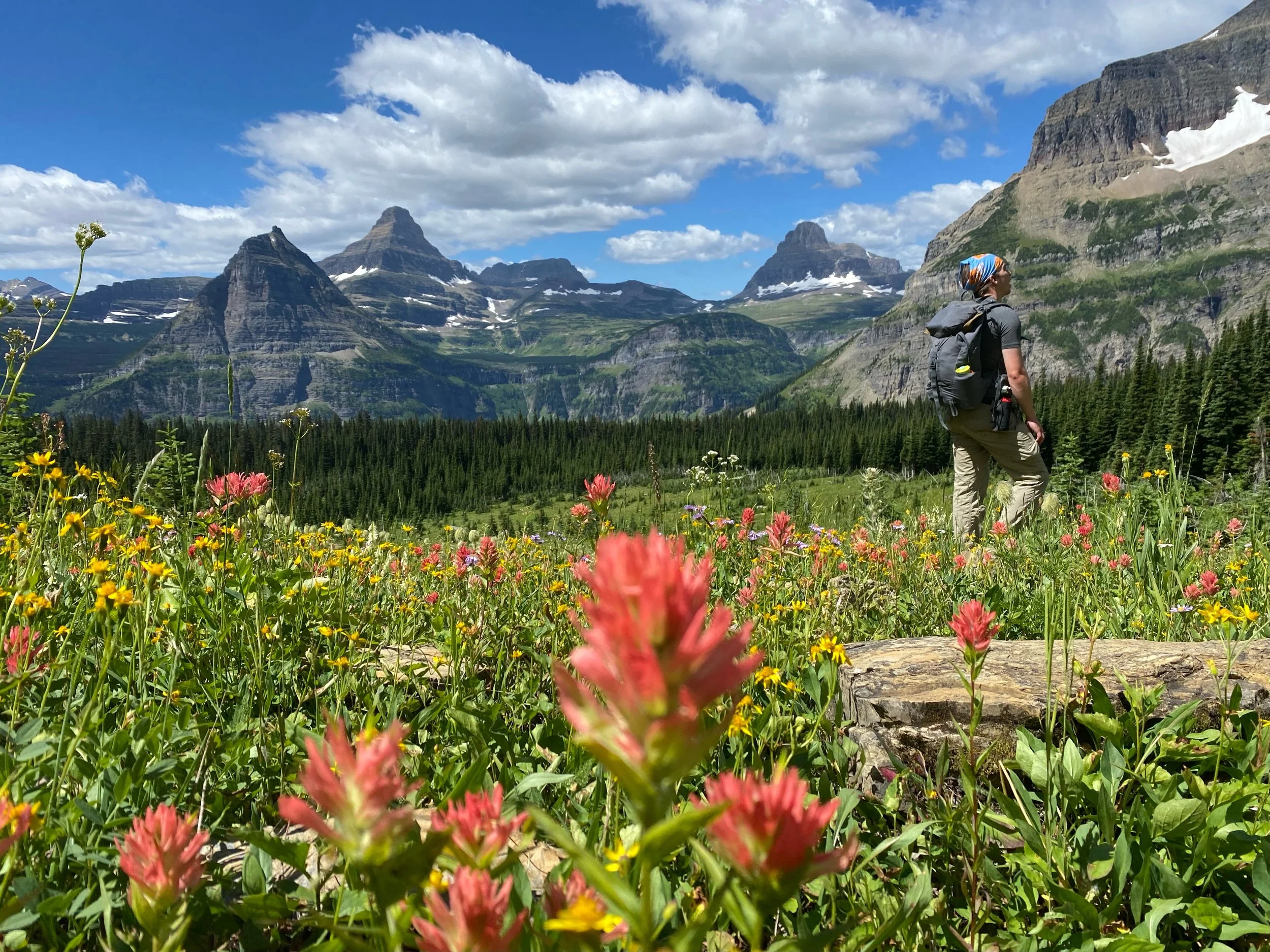 the Best Guided Hikes Near Glacier National Park
