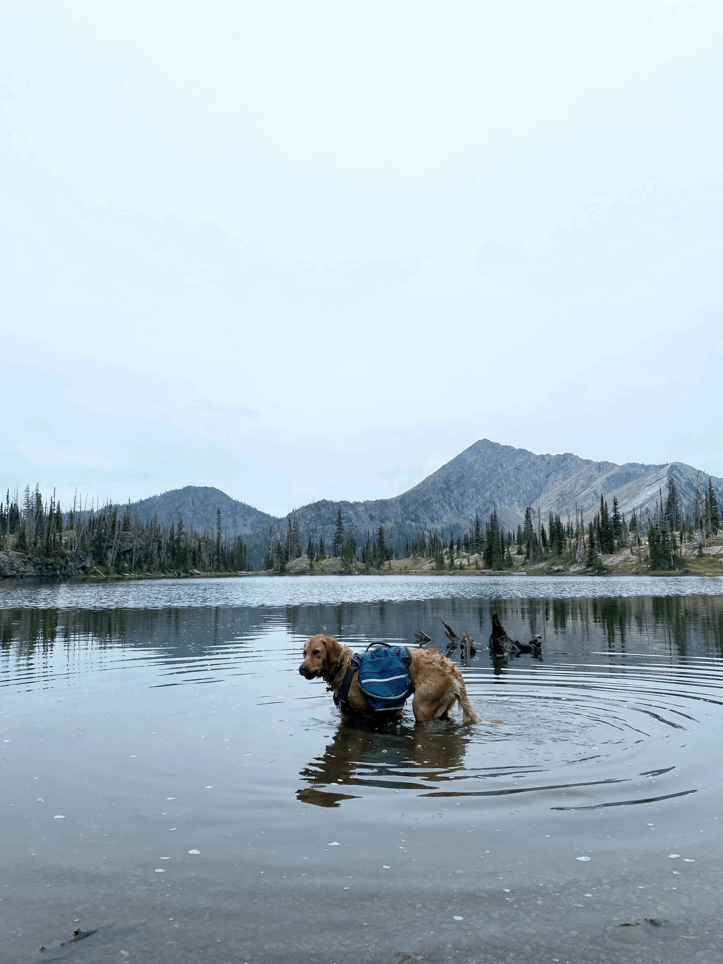 Exploring the Swan Range: A Guide to Our Day Hikes