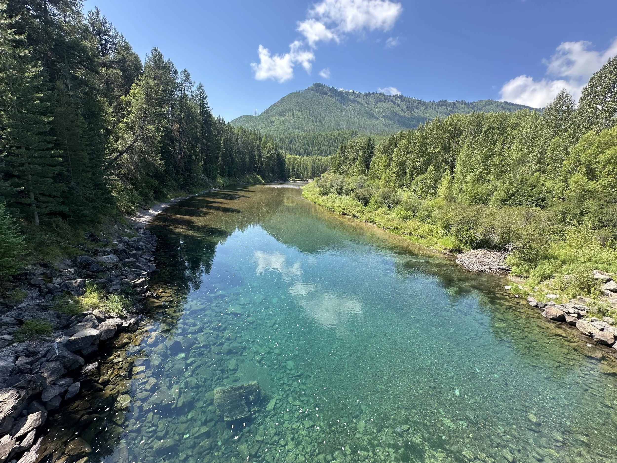 Blue water stream running through the Mountains in Glacier National Park