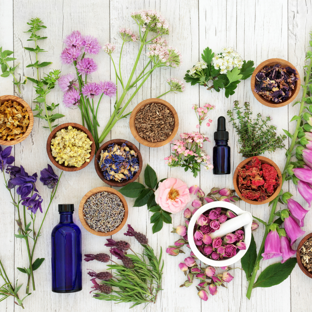 Herbal Foundations: Essential Herbs for a Household Herbal Practice