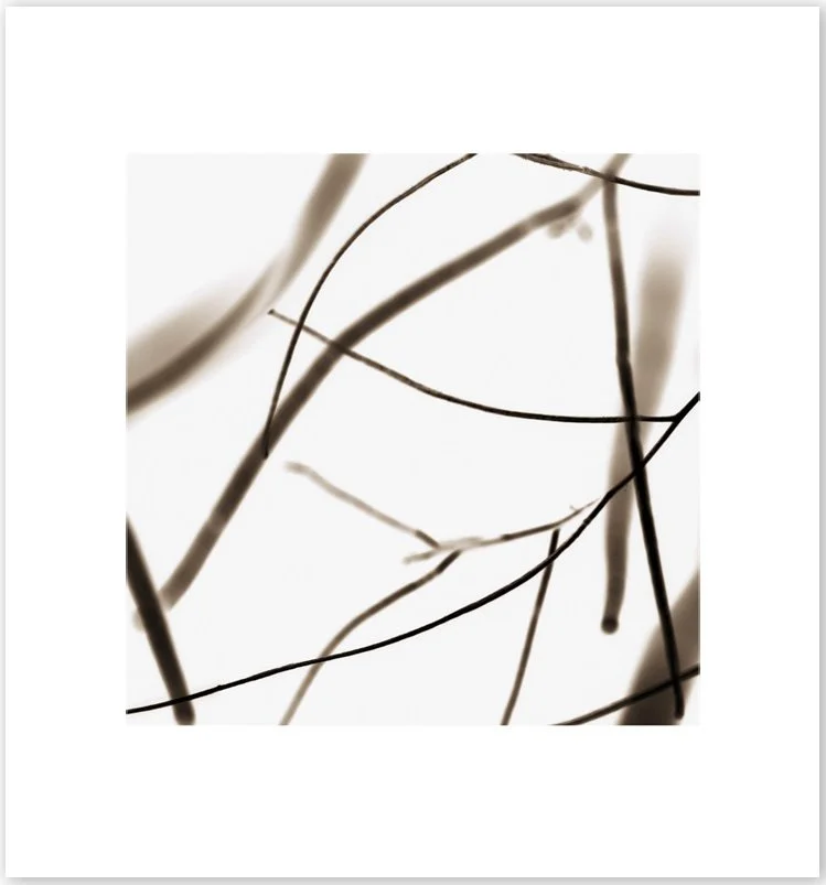 NOCHE TRANSFORMADA #1, 2013. Pigment Ink Print on Paper 28 × 24 inches (71 × 61 cm).