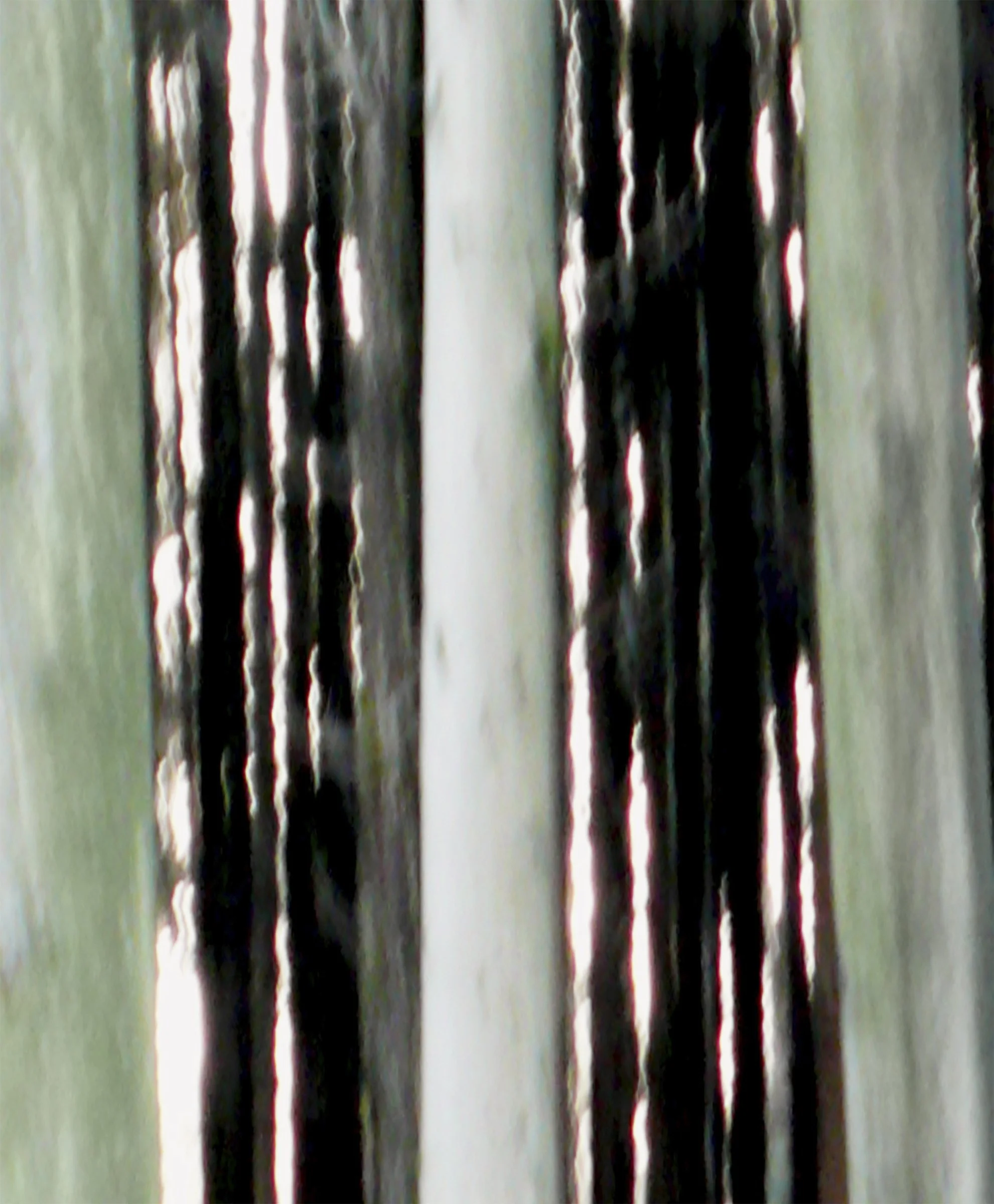 ODENWALD 1152 PH8, 2008. Pigment Ink Print on Paper 30 x 24 inches (76 x 70 cm).